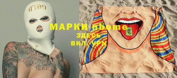 СК Алексин