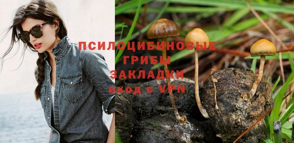 СК Алексин