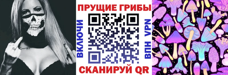 Галлюциногенные грибы Psilocybe Новоалтайск