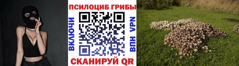 наркошоп Новоалтайск Галлюциногенные грибы Magic Shrooms