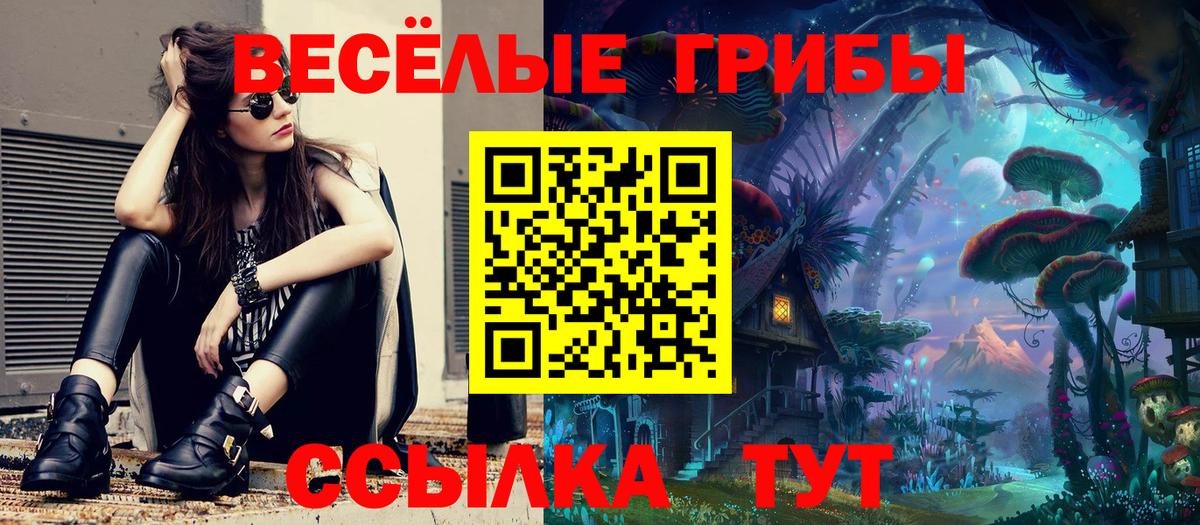 Псилоцибиновые грибы прущие грибы  Вход с VPN  Новоалтайск 
